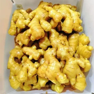 2018 newest  fresh ginger air dryed ginger wholeprice for  export