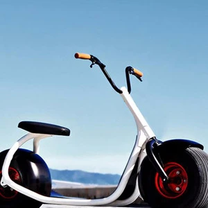 2018 popular style electric scooter with big wheels fashion city scooter citycoco