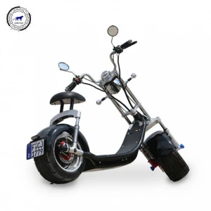 2021 gas scooter the lighter folding LEON electric Scooter In The World, fat tire electric scooter