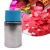 Import 2024 factory sale Cylinder Iron Party champagne Popper Gas Bottle confetti air bottle from China