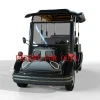 25km/h low speed sightseeing electric car 6 seat passenger bus