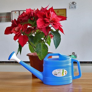 2.5L household product plastic watering can,plastic garden product water can,watering pot