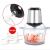 2l Electric Stainless Steel Meat Grinder Mincer Hand Food Chopper Processor Machine