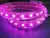 Import 5050 60LED UV 395nm pink color LED Strip Lights 110v 220v from China