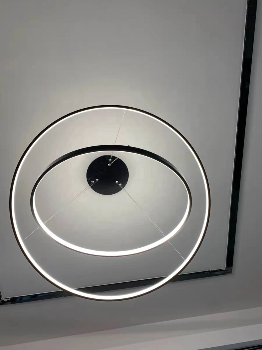 60W 2 Rings D40+60cm celling led light pendant lights and lighting home