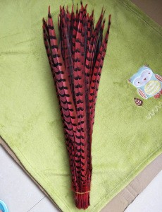 70-80cm Dyed Reeves Pheasant tail Feathers plumas de faisan for brazil carnival costumes