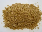 AAA Grade Quality Durum wheat
