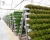 Import Agricultural Multi-Span Greenhouse Commercial Greenhouse from China