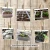 Import Amazon hot selling Garden Seed Starting Tray Plant Germination Kit for Garden Gift from China