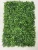 Import artificial  green wall  indoor artificial plant for decoration from China