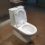Import Australia Standard watermark  Ceramic Washdown Two Piece Toilet with P-Trap from China
