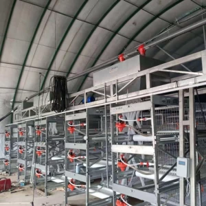 Automatic Layer Poultry Farming Equipment Chicken Cage