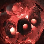 BBQ Charcoal - Wood Charcoal - Sawdust Charcoal