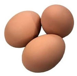 Best Fresh Nutritional Eggs