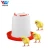 Import Best Price Chicken Feeder Poultry Farming from China