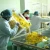 Import Best Quality Handmade Chrysanthemum Tea Organic Blooming Tea Slimming Tea Wholesale from China