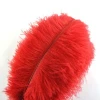 Best quality South Africa ostrich feather red 40-45cm