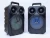 Big power 10W karaoke wireless speaker 8 inch  trolley speaker with rechargeable battery  LZ-8103A