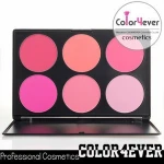 BLUSH with sunscreen color for wholesale empty blush container