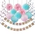 Import Boy and Girl Baby Shower Party Decoration Gender Reveal Party Supplies with Balloon, Banner, Tissue Pom Poms and Paper Lantern from China