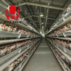 broiler steel structure building prefab poultry house chicken farm 4 tiers a type layer battery cage