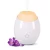Import Car aromatherapy machine/Air Purifier/Electric Aromatherapy Essential Oil Diffuser from China