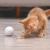 Import Cat Toy Funny Pet Training Tool Smart Cat Toy Interactive Ball from China