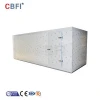 CBFI rapid cooling fridge freezer cold storage room for food