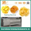 Ce Standard Semi-Automatic Potato Chips Factory Machines