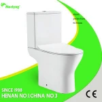 ceramic toilet bowl
