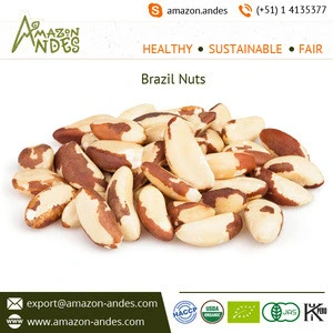 Certified Quality Organic Brazil Cashew Nuts for Sale