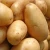 Import Cheap Price Fresh Export Quality Potato  From Bangladesh Kazi Trading House from Bangladesh