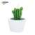 Import China suppliers cute handmade delicate succulent cactus decorative candles for sale from China