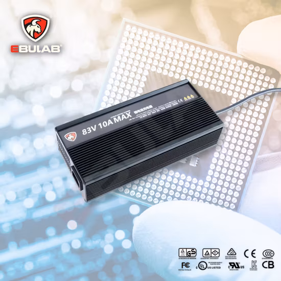 China Wholesale 54.6V 5A 48V Li-ion Battery Charger for E-Bike