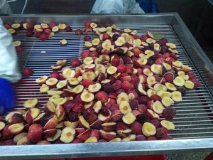 Chinese delicious fruits clean iqf plum