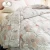 Import Classical but Fashionable Flower Print Home Textile Cotton Thick Quilt from China