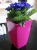 Import colourful square pots plastic orchid vase from China