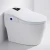 Import Concealed Tank Heated Bidet Sanitary Ware Electronic Automatic Lid Bathroom Intelligent Cover Smart Toilet Seat from China