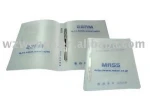 Custimized A4 Plastic File Folder/A4 Spring Clip File