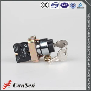 Custom cheap 2 position key stay put electrical micro switch