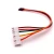 Import Custom Molex JST HRS DUPONT connector cable assembly custom wiring harness from China