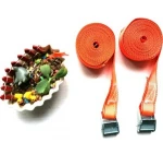 DJ-503 2pcs 1200 lbs wholesales ratchet cam buckle webbing truck cargo lashing straps tie down with hooks  TUV/GS