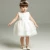 Import DMFGD Baby Girls Dress Christening Baptism Party Formal Baby Dress Customer Design Communion Dress Gray Lace Weeding Party from China