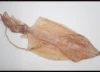 Dried Squid (Cool-air)