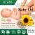 Import Eco Friendly best baby oil essential oil added from Taiwan