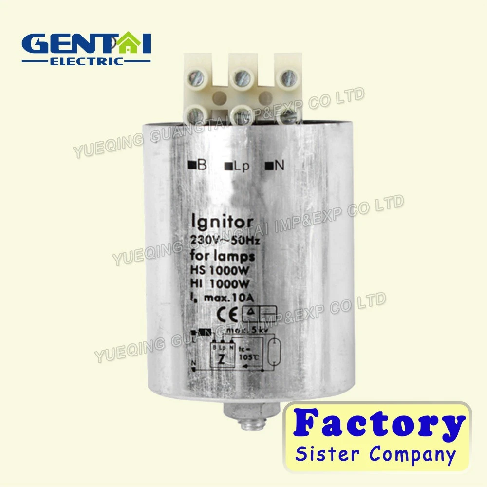 electronic ignitor ignitor for discharge lamps