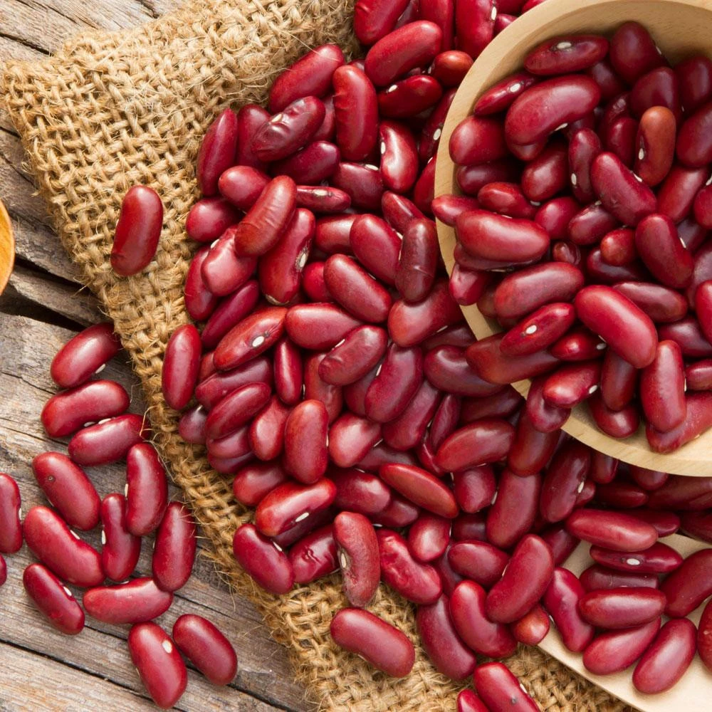 Ethiopian red kidney beans