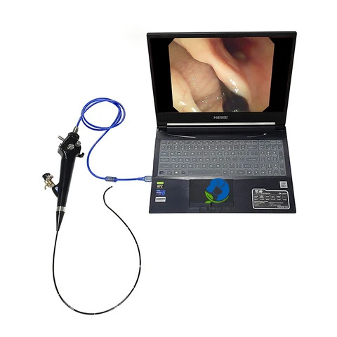 EUR PET Portable Hospital Video Gastroscope Small Animals Usb Video Colonoscope Endoscope Veterinary Gastroscope