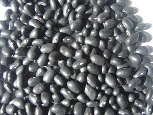Export Good Quality Fresh Chinese Black Kidney Bean.