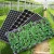 Import Factory  Price  Plastic  Cell Germination Seeding Plate  Plant Seedling Tray from China